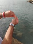 IMG_20231015_161910.jpg