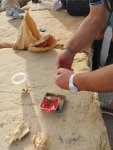 IMG_20231015_162050.jpg