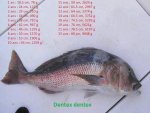 IMG-20191129-WA0010.jpg