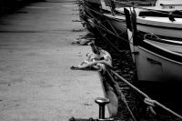 DSC_6306.jpg